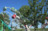 Mulligans Island Mini Golf photo 5